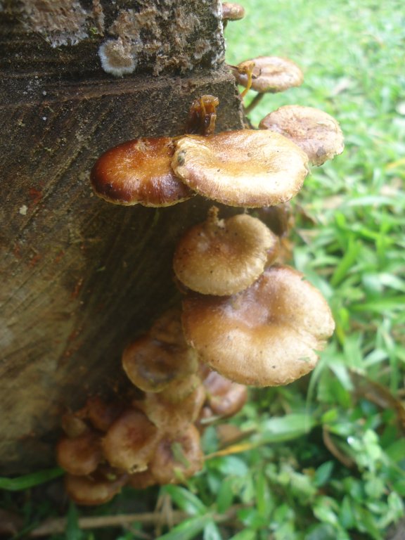 DSC02822.JPG