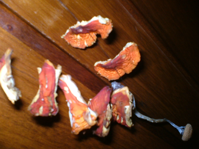 DSCF7240.JPG