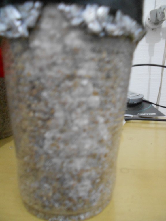 DSCN0743.JPG