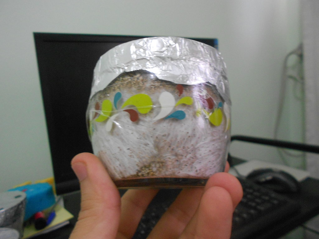 DSCN0933.JPG