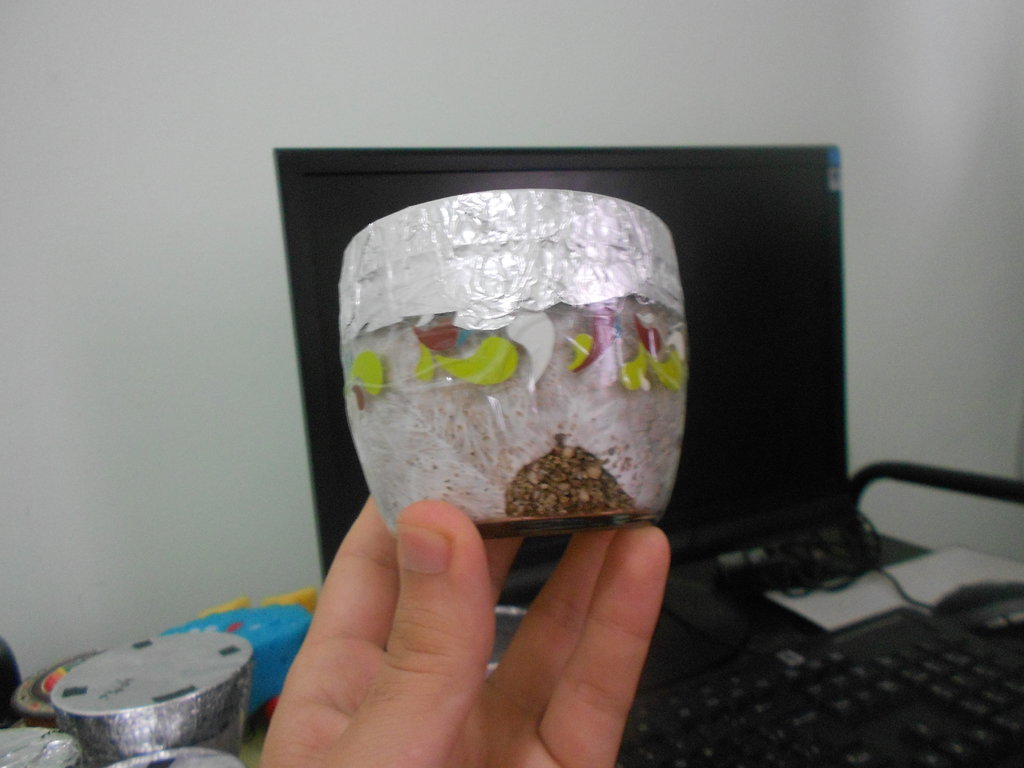 DSCN0934.JPG