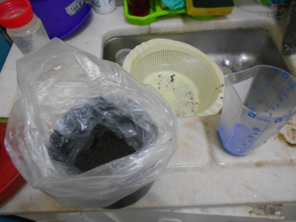 DSCN1018.JPG