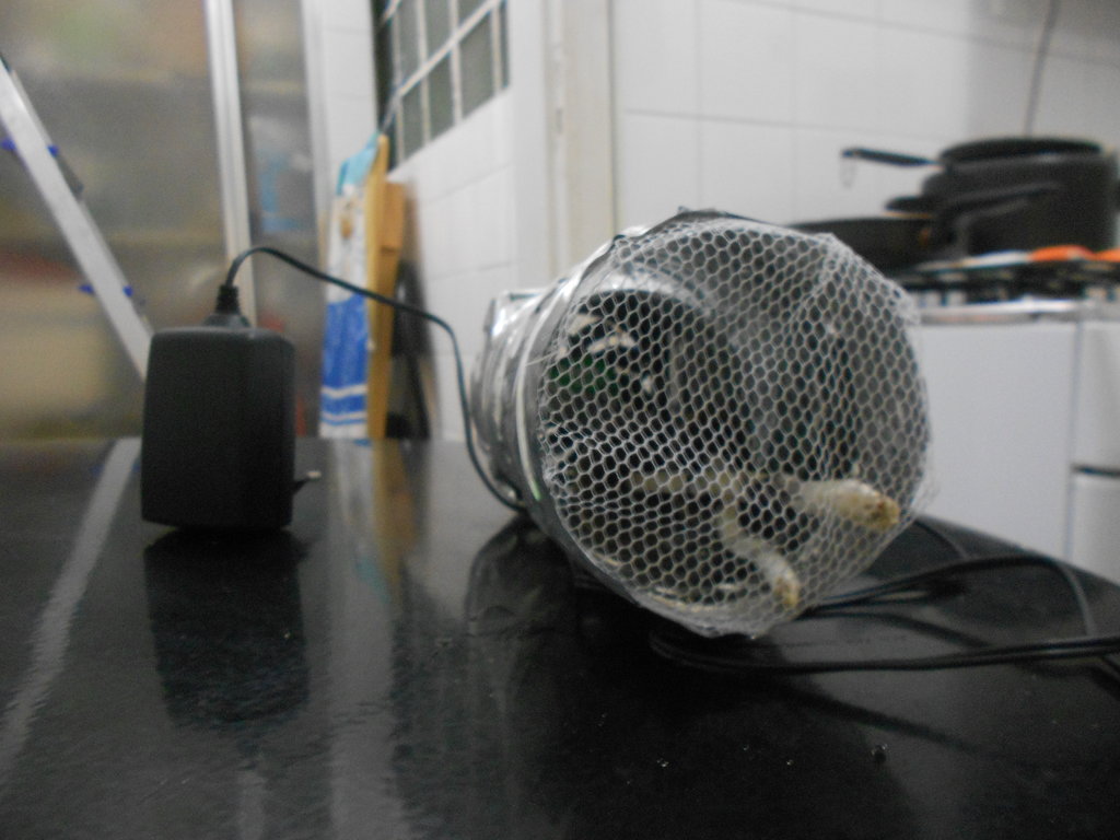DSCN1035.JPG