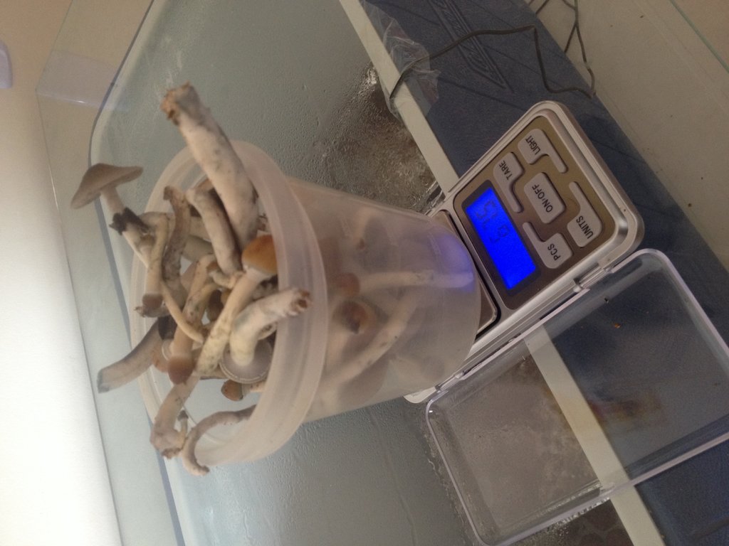 Foto 01-10-15 14 33 45.jpg