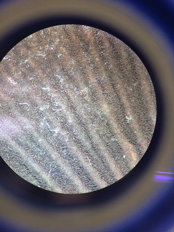 Foto 01-10-15 20 29 28.jpg