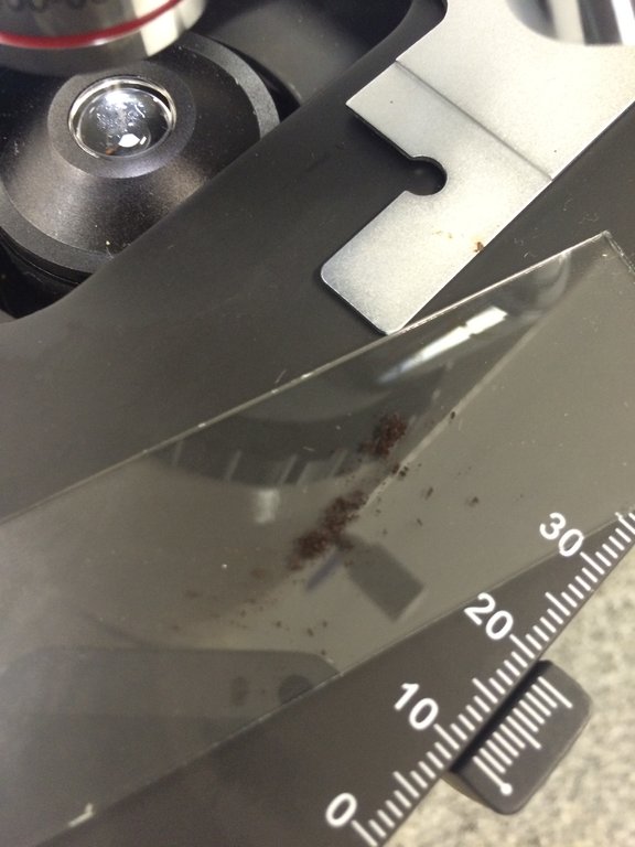 Foto 01-10-15 21 06 47.jpg