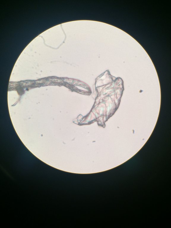 Foto 01-10-15 21 49 53.jpg