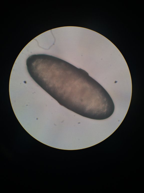 Foto 01-10-15 21 54 11.jpg