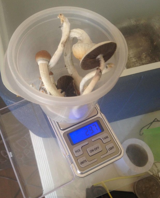 Foto 09-10-15 09 54 41.jpg