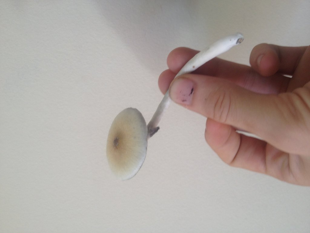 Foto 09-10-15 09 55 11.jpg