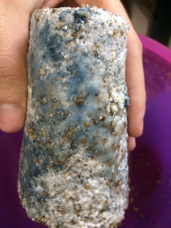 Foto 14-08-16 11 15 00.jpg