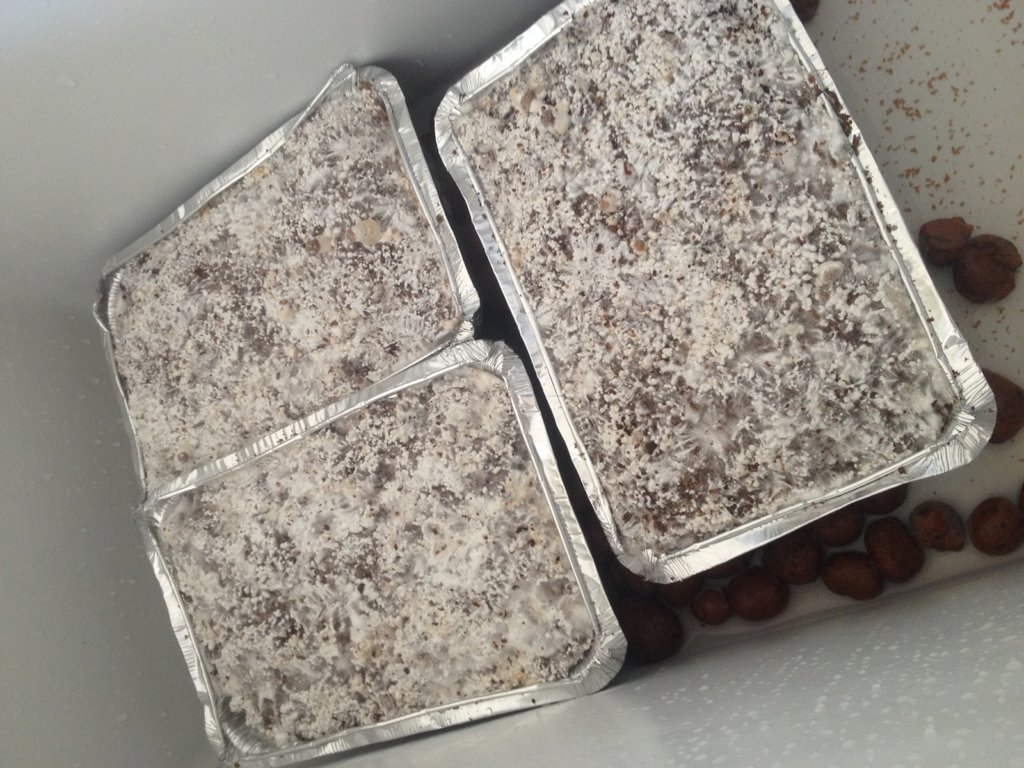 Foto 14-09-15 11 58 23 (1).jpg