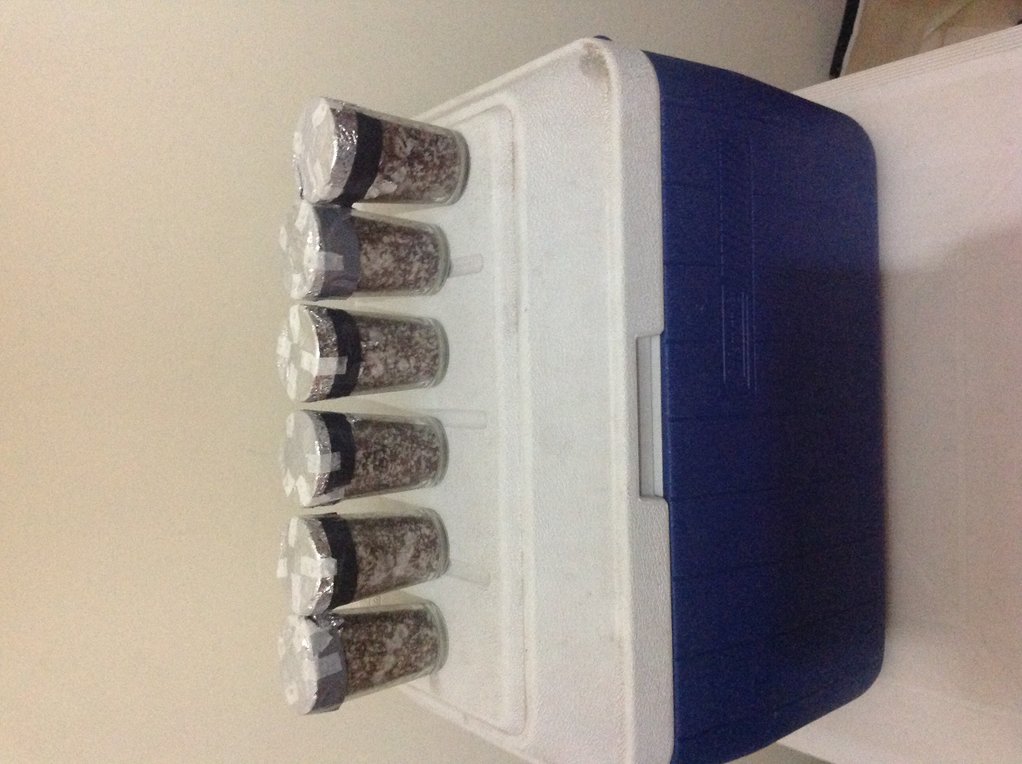 Foto 18-08-15 16 06 39.jpg