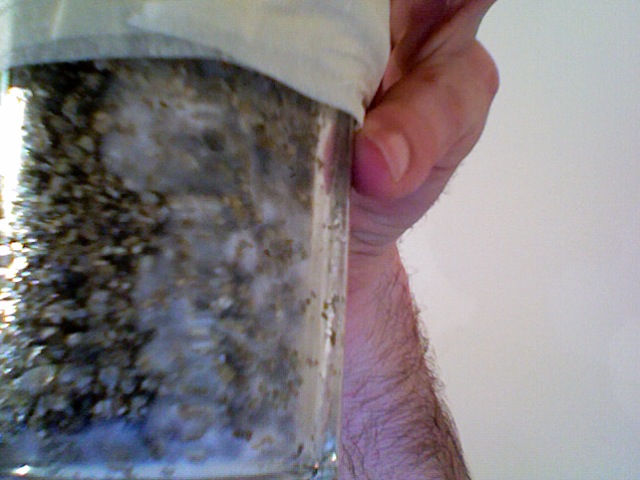 Foto4.jpg