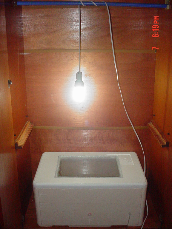 fotoscult 062.jpg