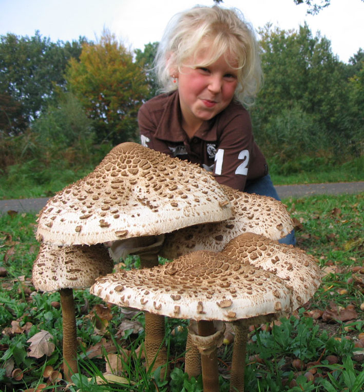 girl-with-shrooms.jpg