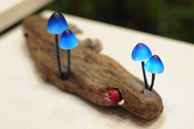 great_mushrooming_1_400x266.jpg