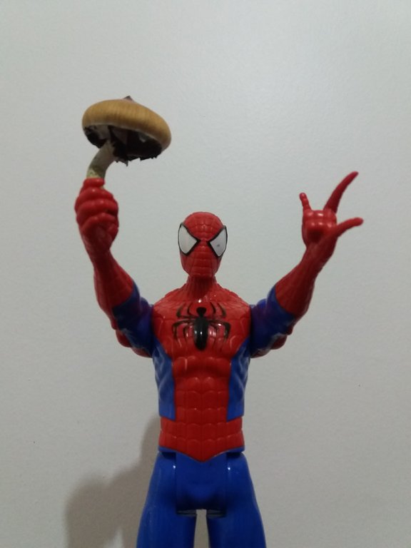 Heroi Cogumeleiro c.jpg