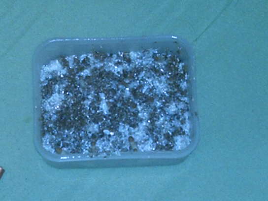 IMAG0011.JPG