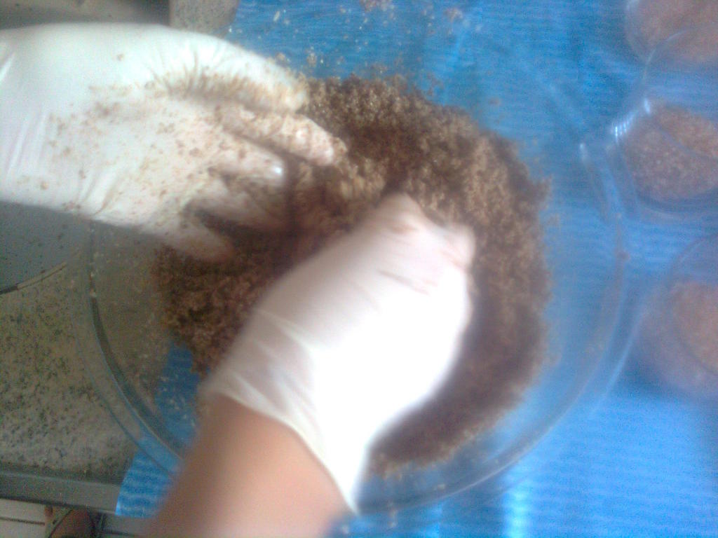 Imagem0327.jpg