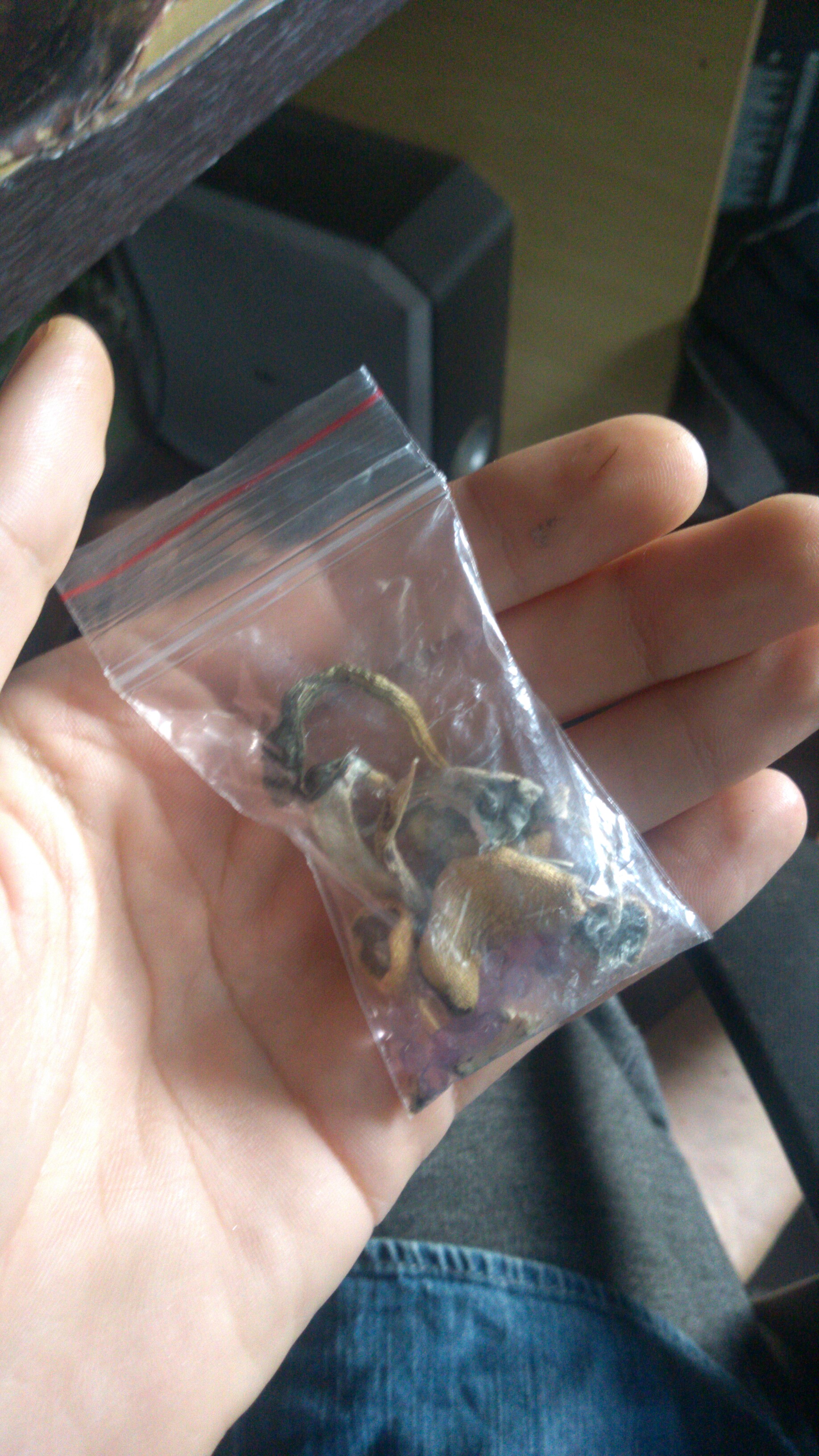 IMG-20200617-WA0034.jpeg