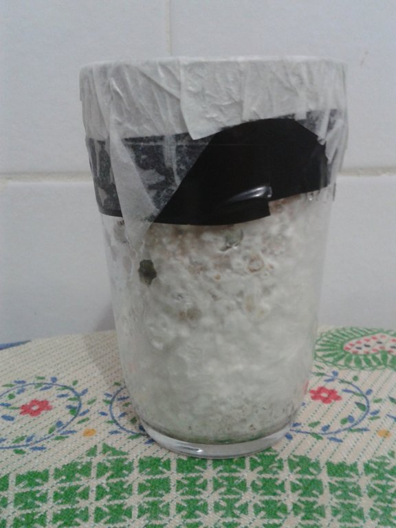 KC5 com pin e leve azulemtno.jpg