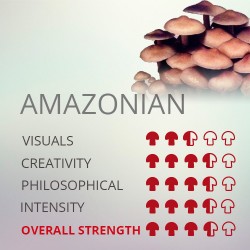 kit-de-cultivo-de-setas-psilocybe-cubensis-amazonian.jpg