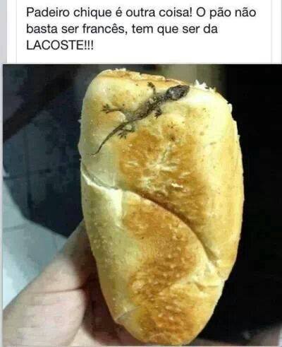 lacoste.jpg