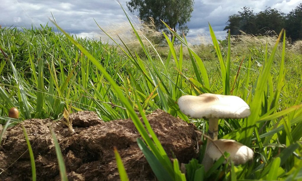 Natureza em equilíbrio