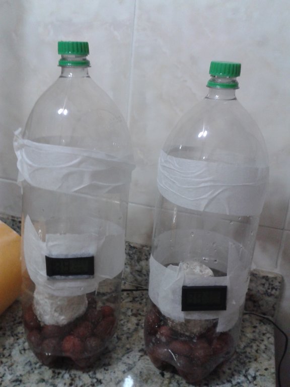 os 2 terrários de frente.jpg