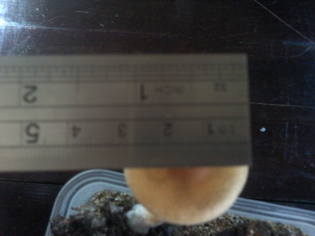 P020311_14.35_[01].jpg