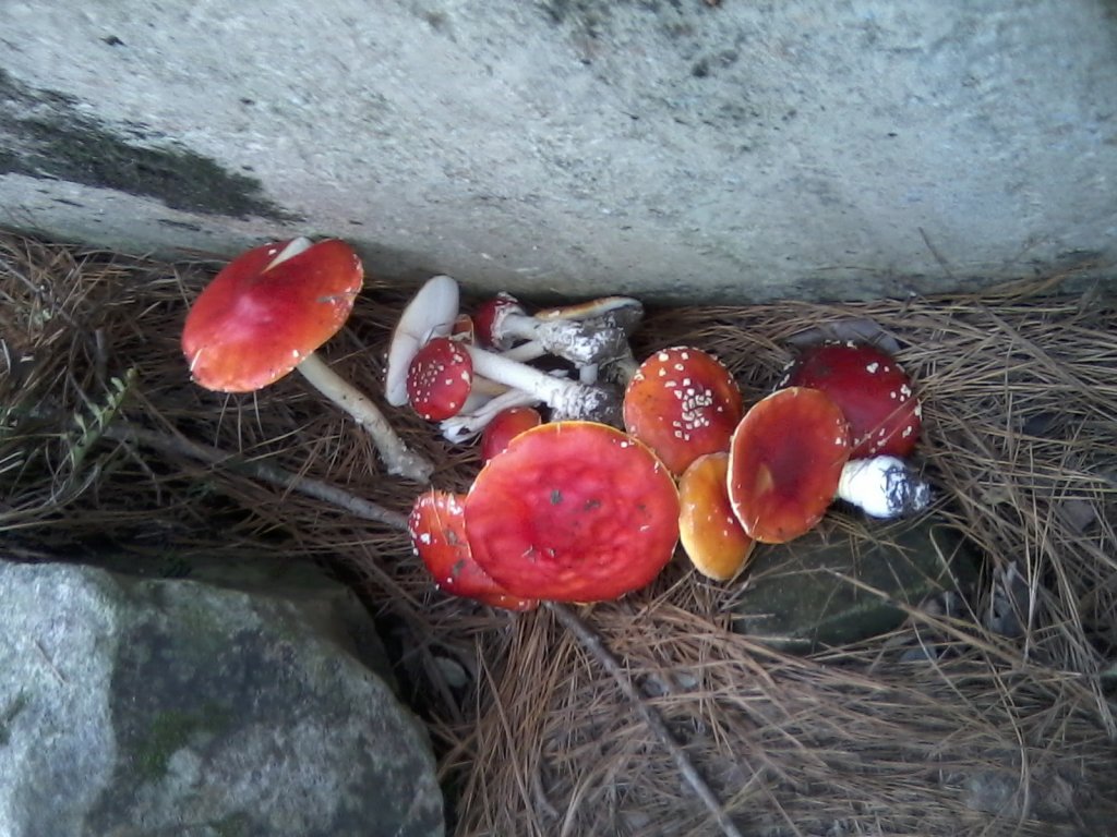 P07-06-13_08.50.jpg