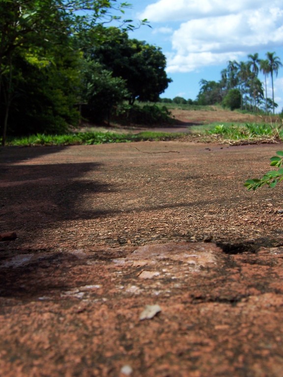 pavuna-domingo-novembro 036.jpg