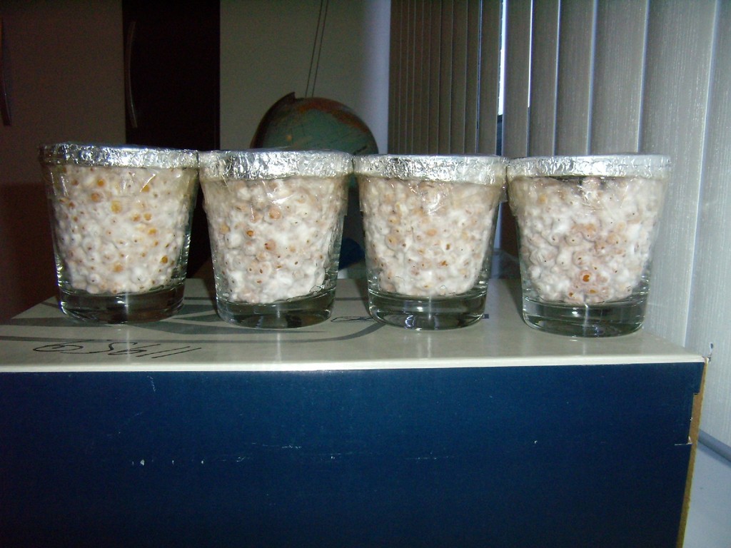 PB010030.JPG