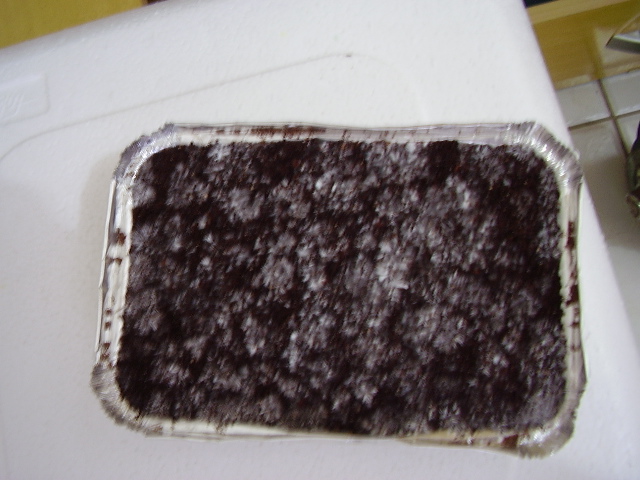 PC080429.JPG