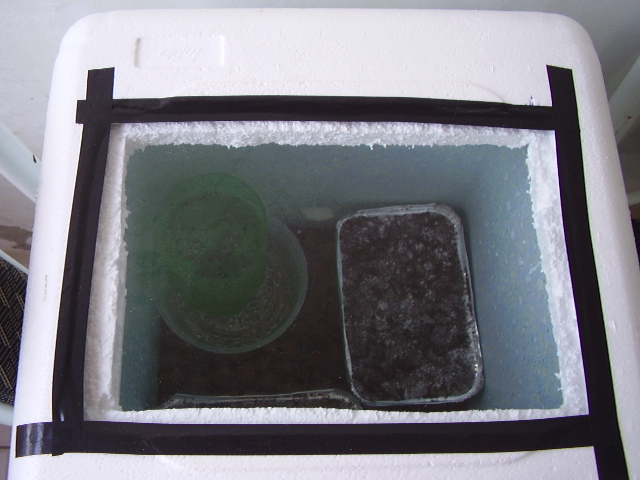 PC100435.JPG