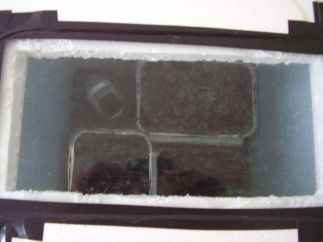 PC100436.JPG