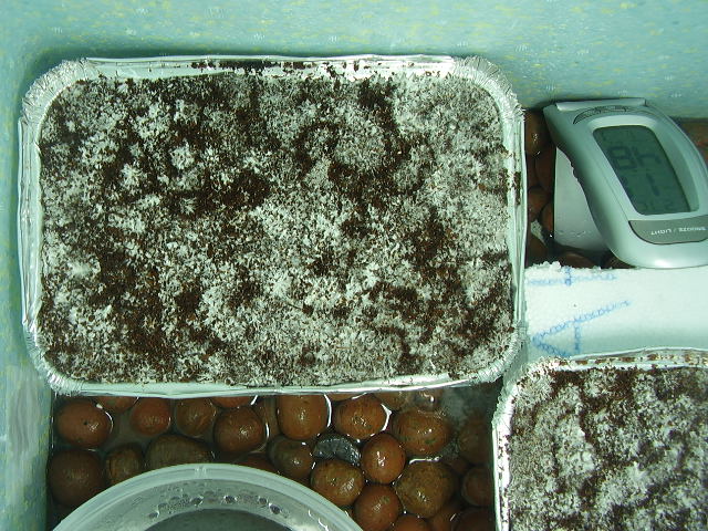 PC120447.JPG