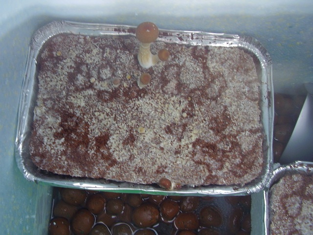 PC210041.JPG