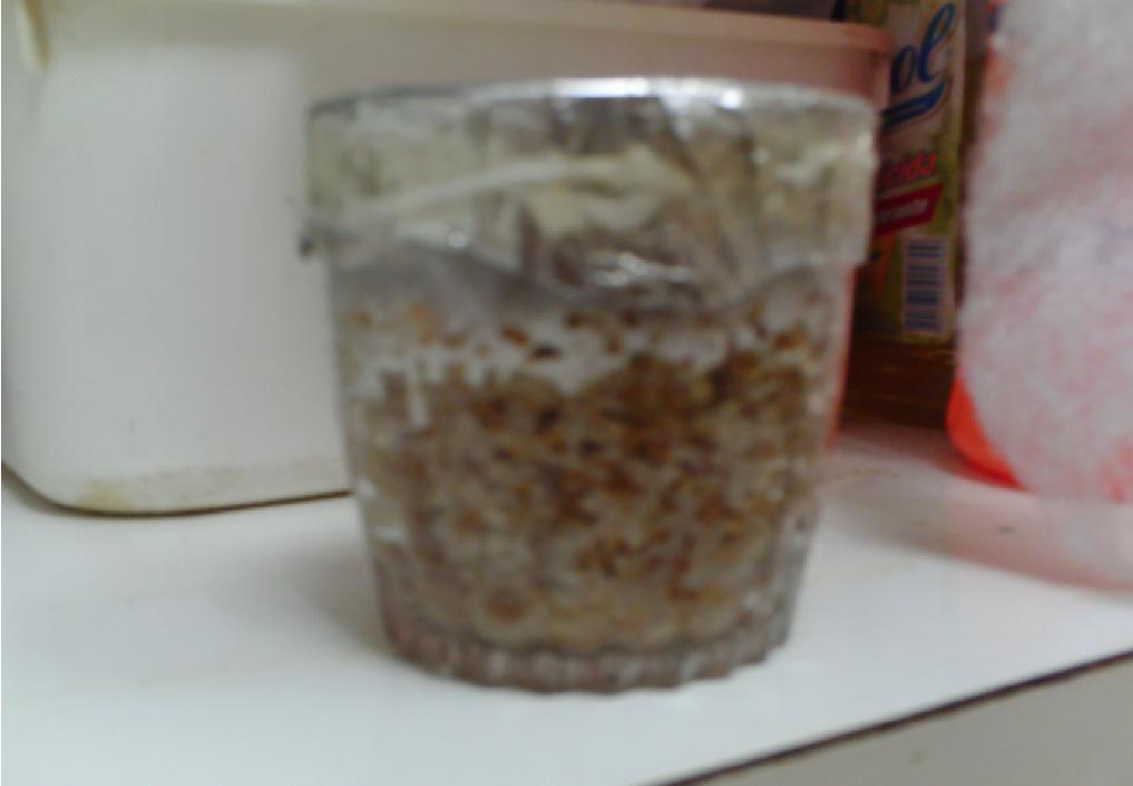 PICT0002.JPG