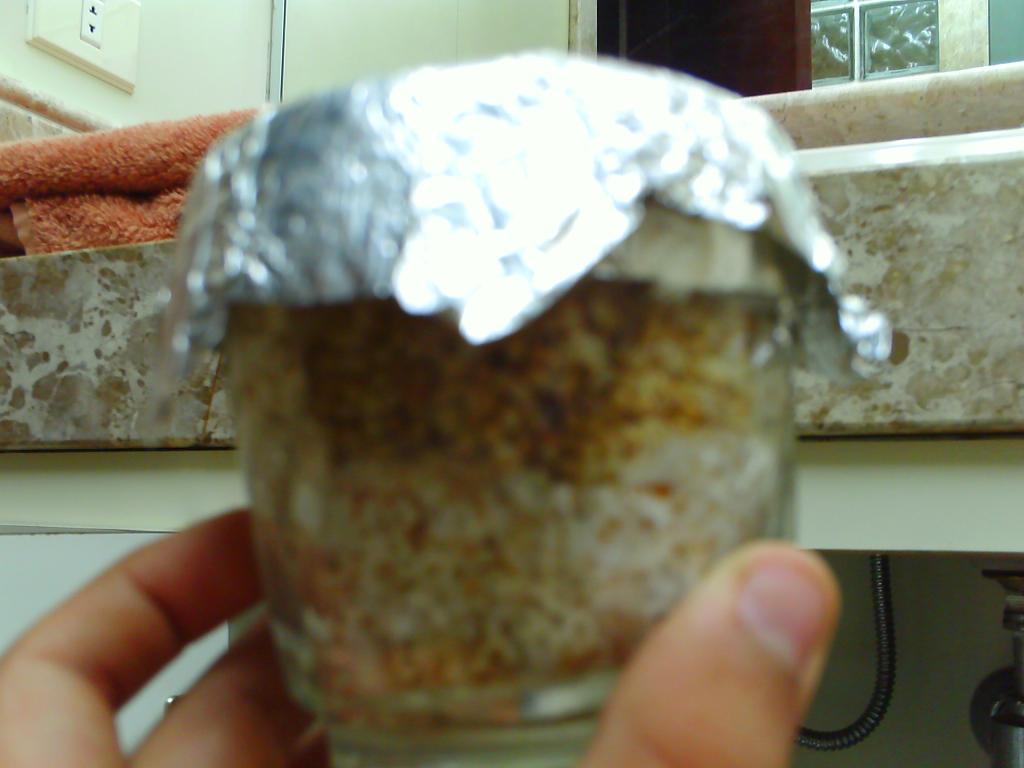 PICT0012.JPG