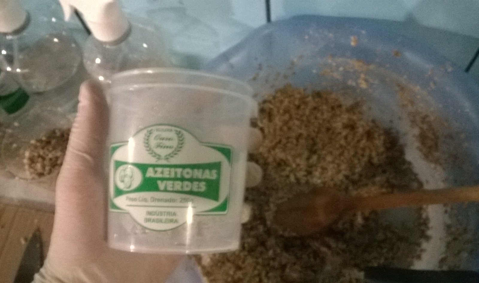 POTE DE AZEITONA COMPLEMENTAR.jpg