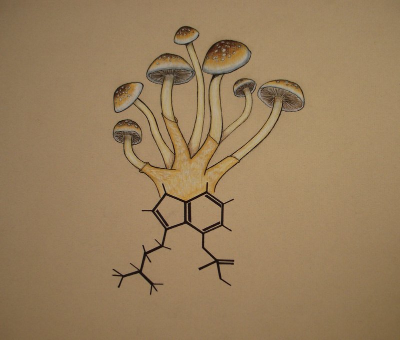 Psilocybin_by_GeneralArtemis.jpg