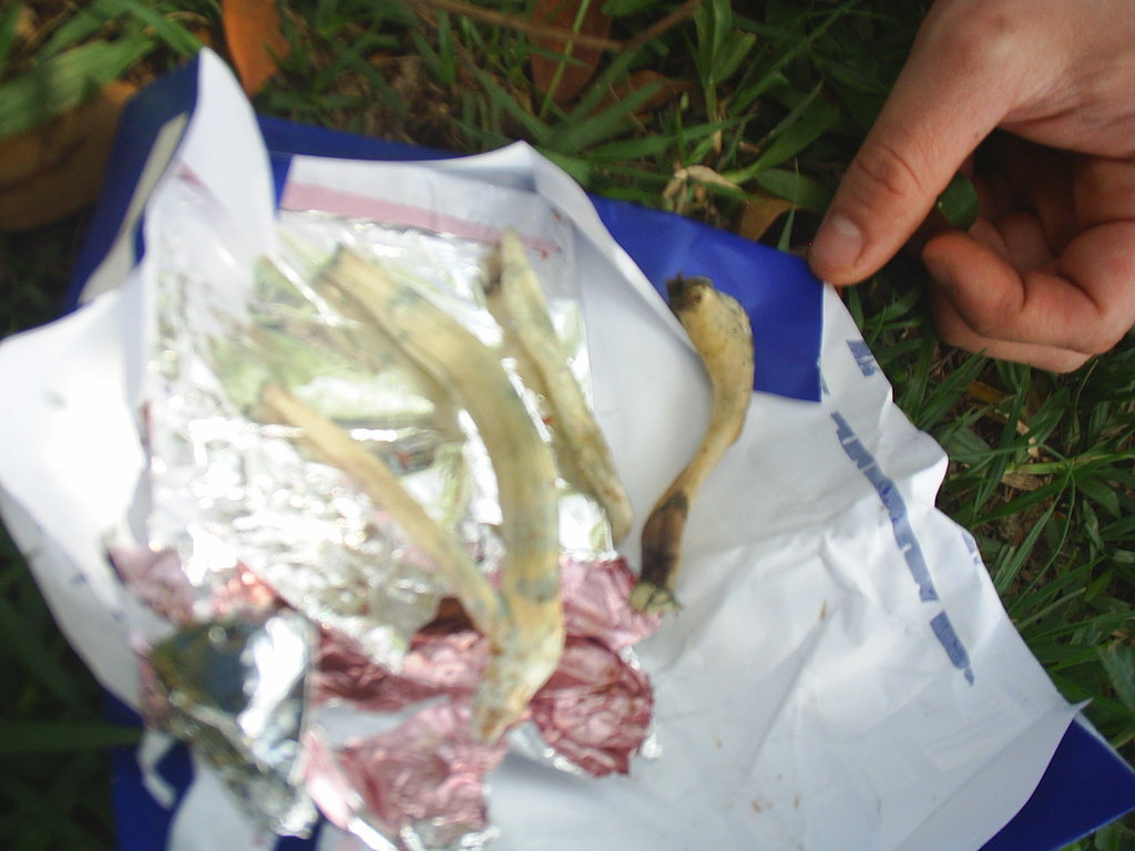 S3010002.JPG
