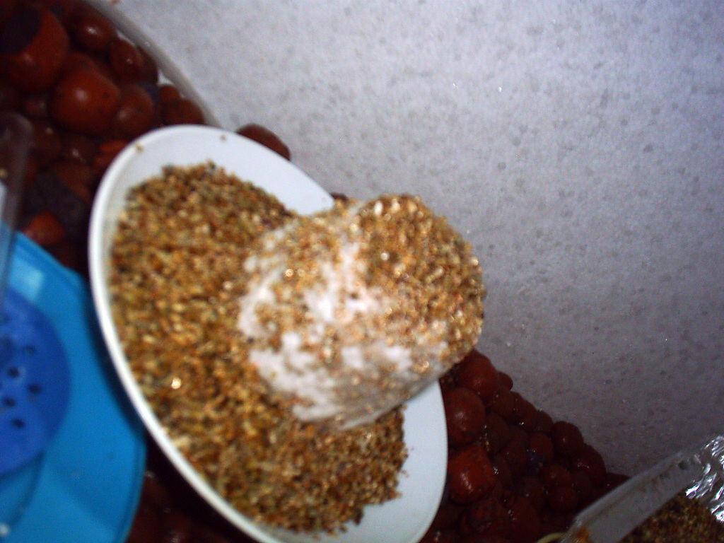 S301000333.JPG