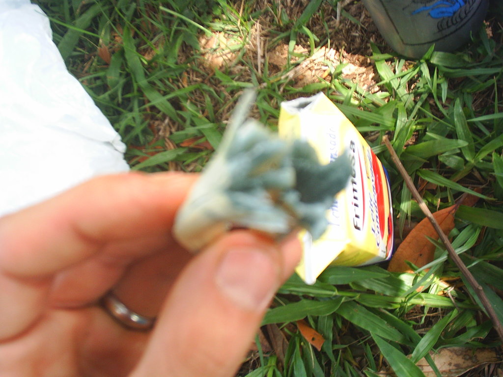 S3010007.JPG