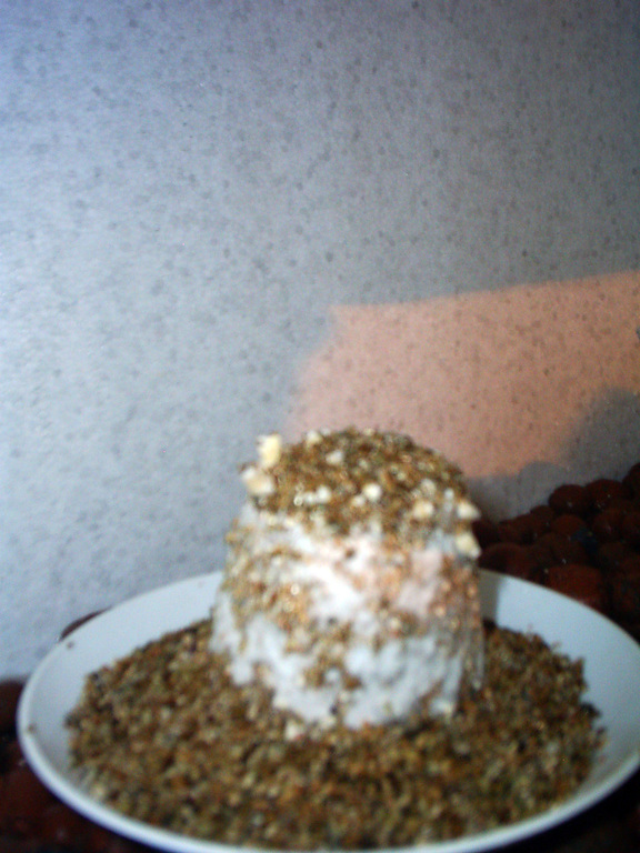 S3010063.JPG