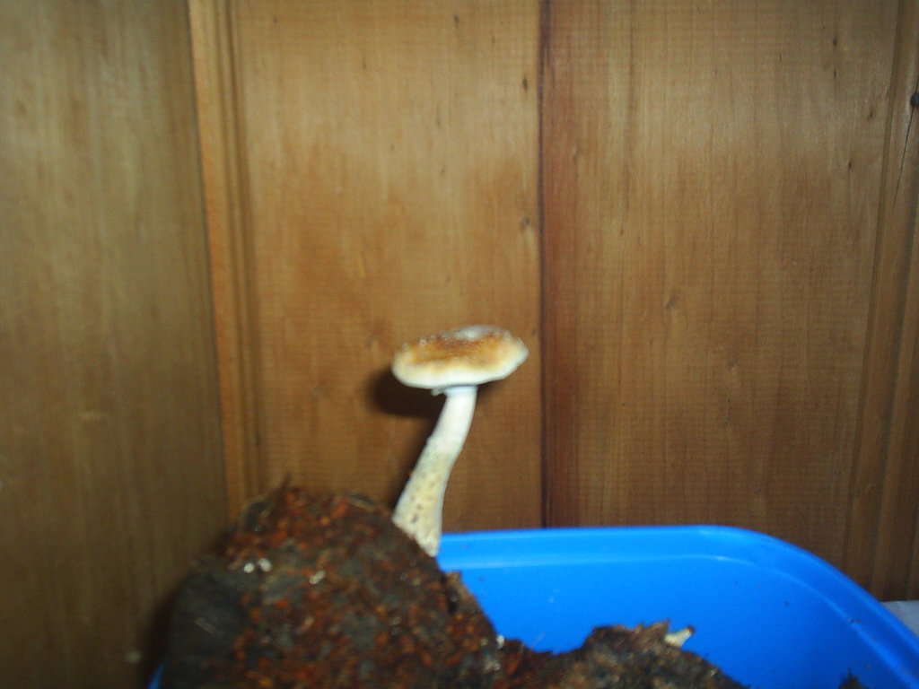 S3010501.JPG