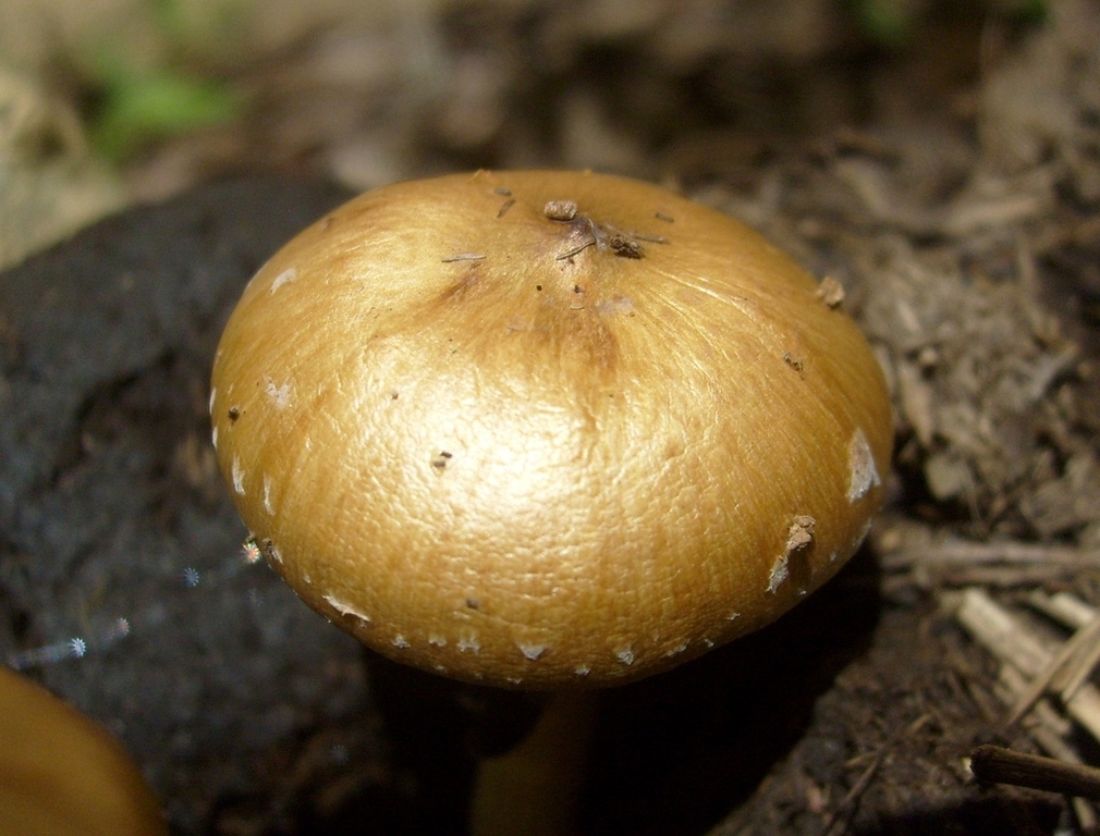 S6302477.JPG