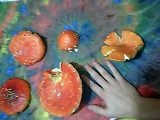 Snapshot_20130611_5.JPG